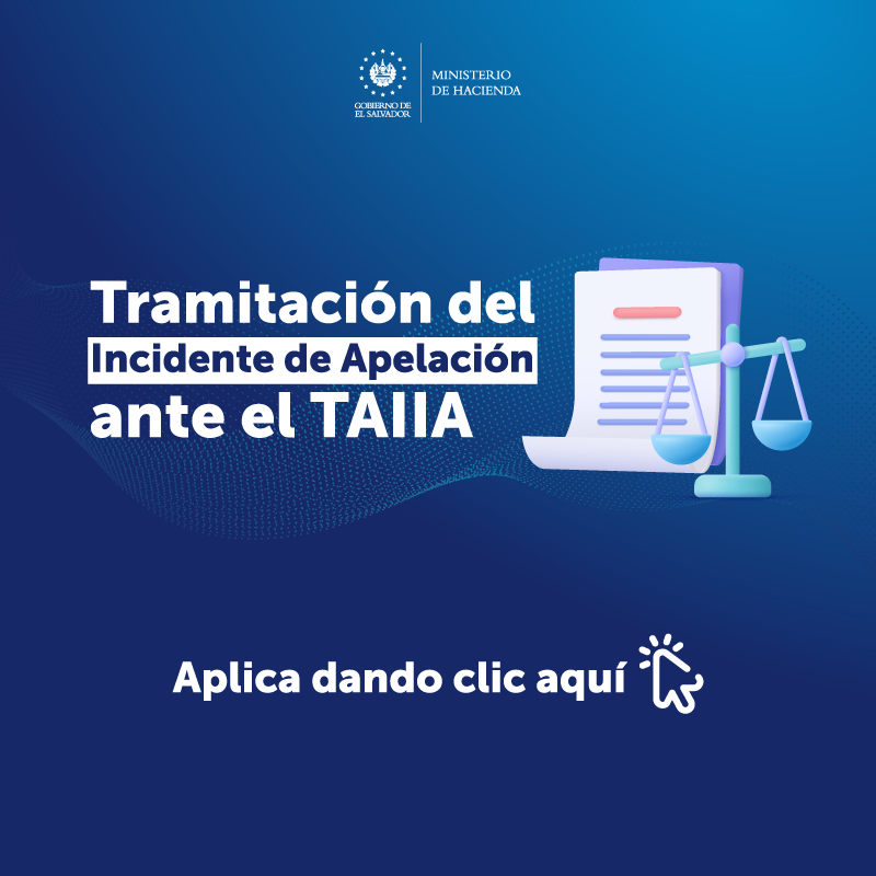 1° Webinar del año: “Tramitación del incidente de apelación ante el TAIIA”